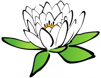 lotus_flower_55237